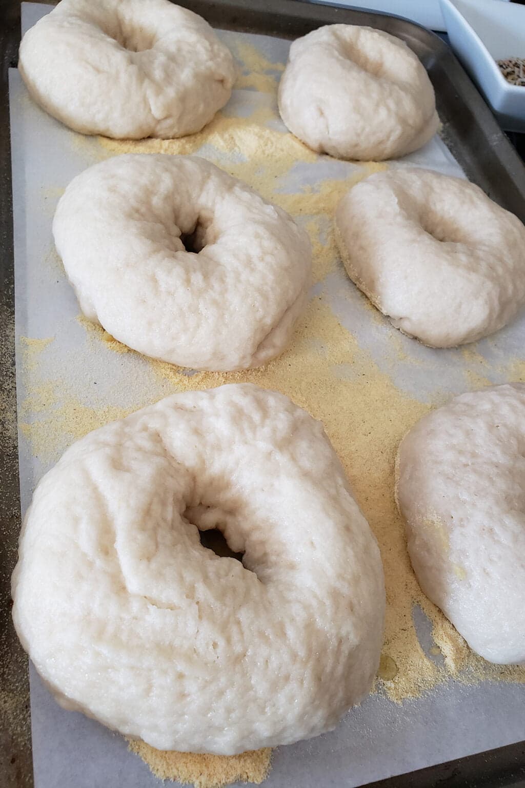How to Make Bagels - Celebration Generation