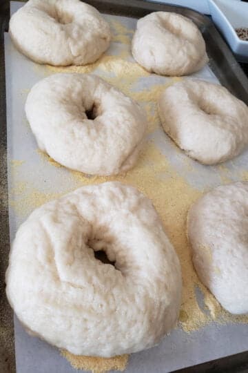 How to Make Bagels - Celebration Generation