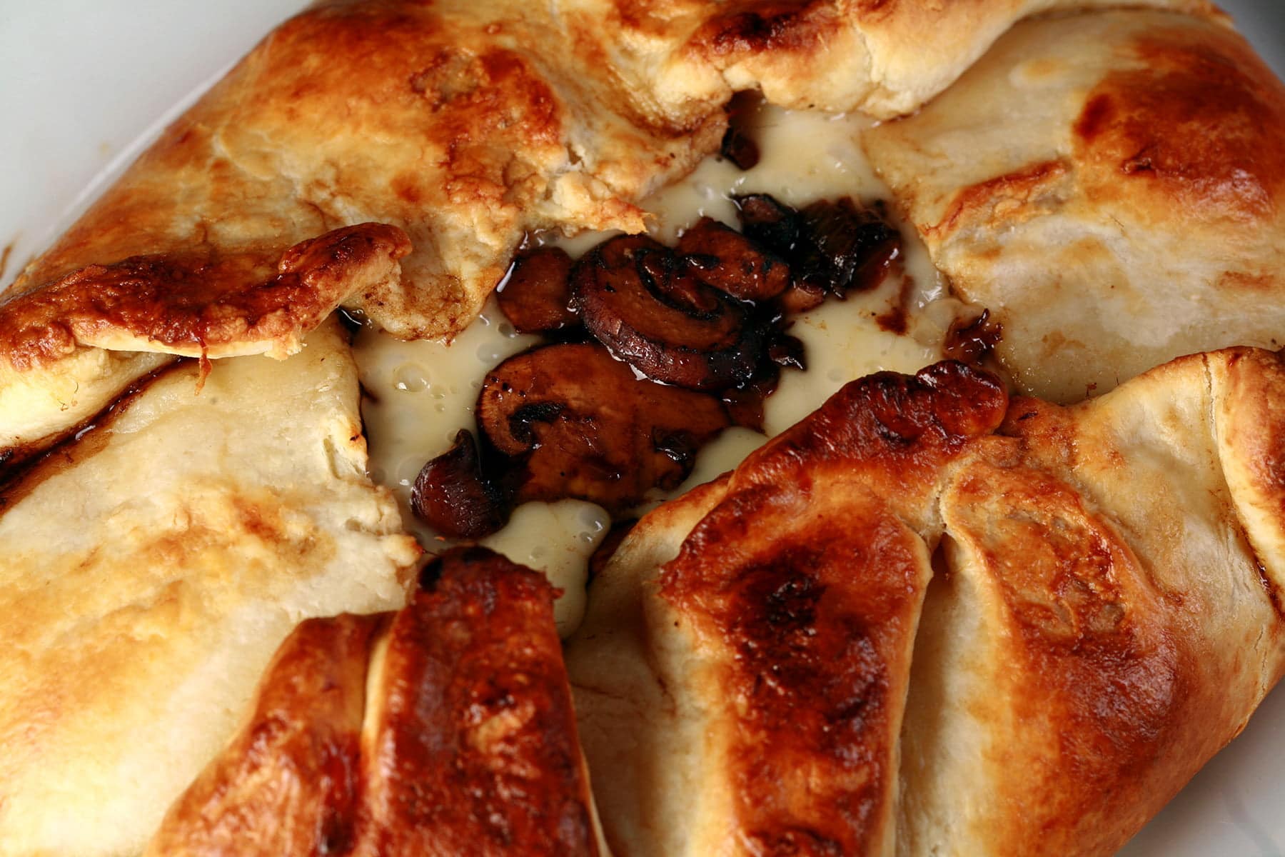 An oval shaped baked brie. Melted cheese and mushrooms are visible in the center.