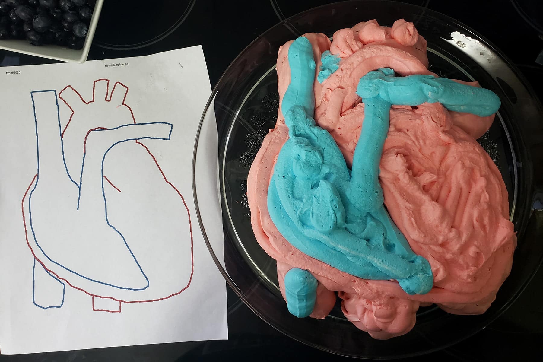 A pavlova made to look like an actual heart - with blue and red whipped cream - is shown next to a heart diagram.