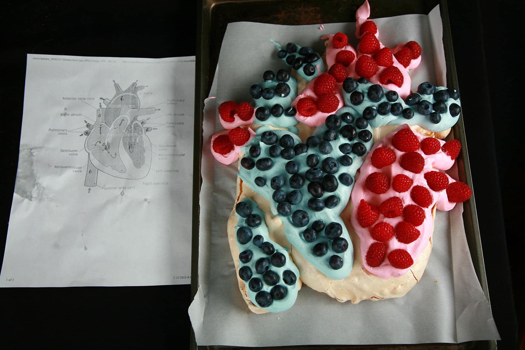 A pavlova made to look like an actual heart - with blue and red whipped cream, raspberries, and blueberries. It is shown next to a paper diagram of a human heart.