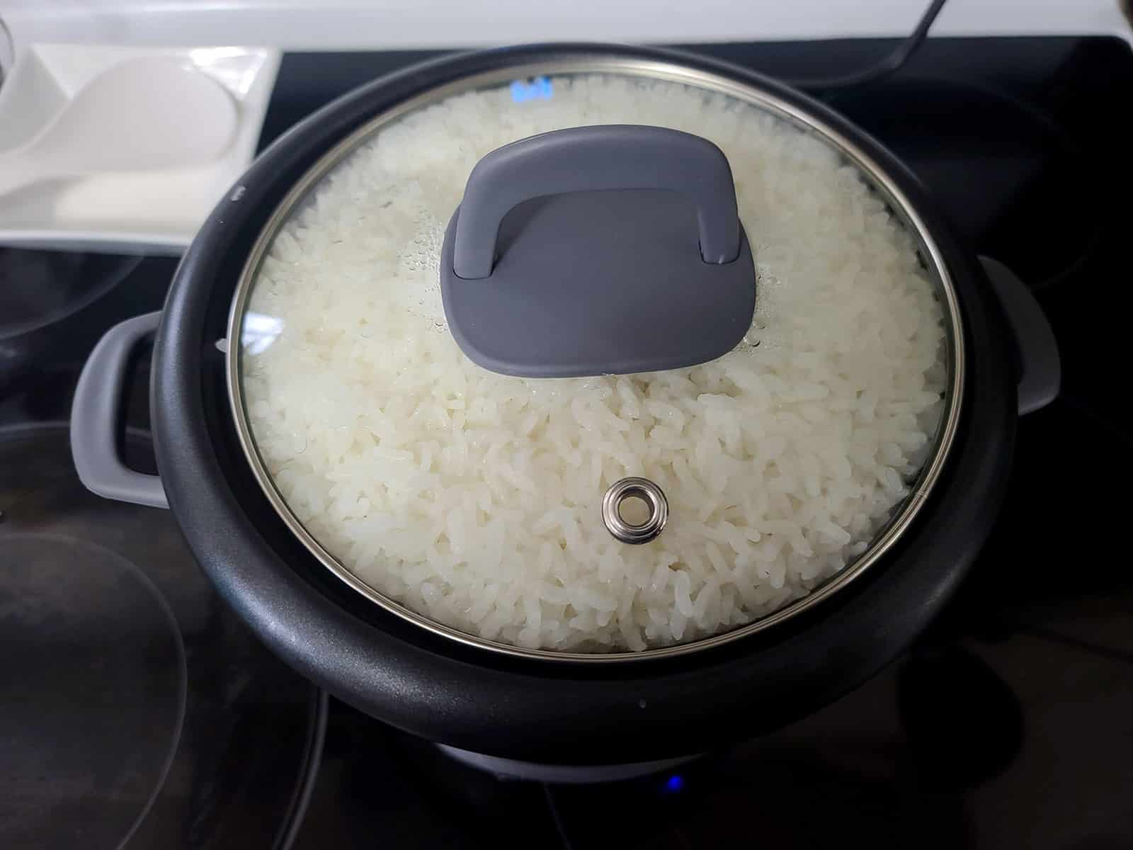 A rice cooker with a fully cooked batch of rice in it.