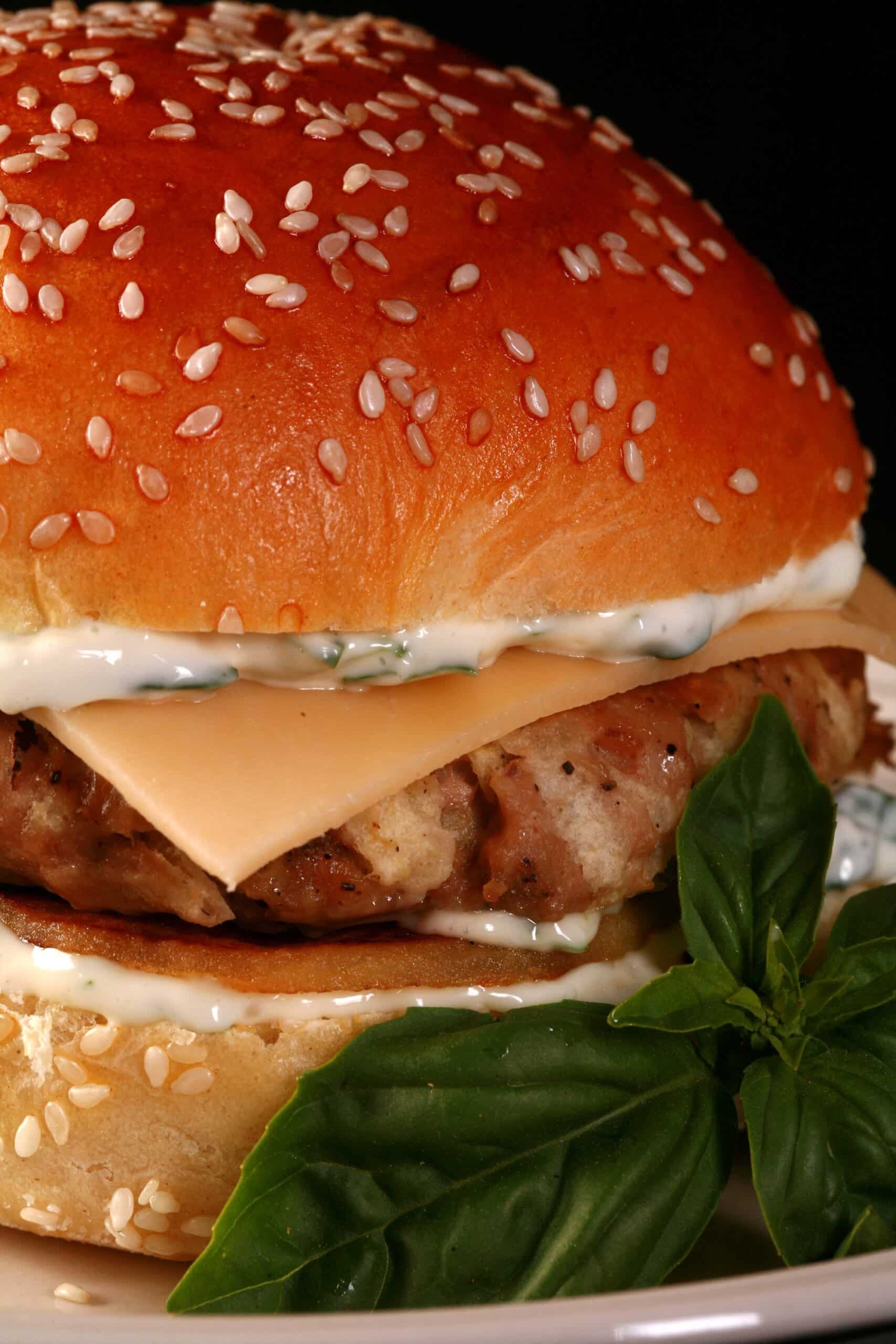 An apple chicken burger with basil mayonnaise and gouda cheese.