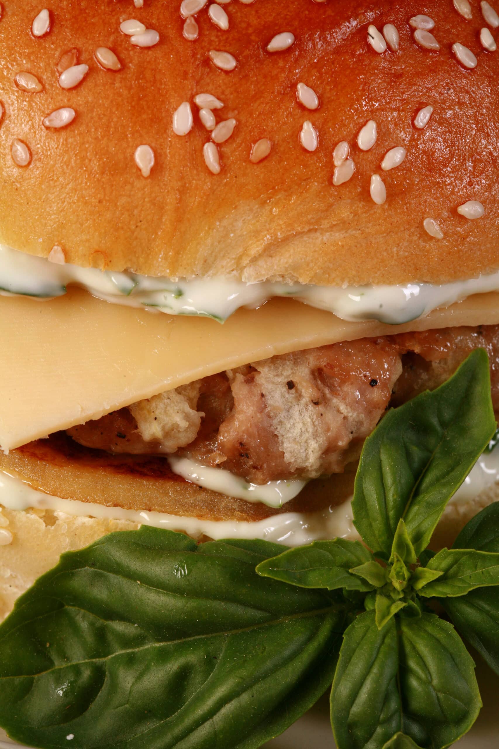 An apple chicken burger with basil mayo and gouda cheese.