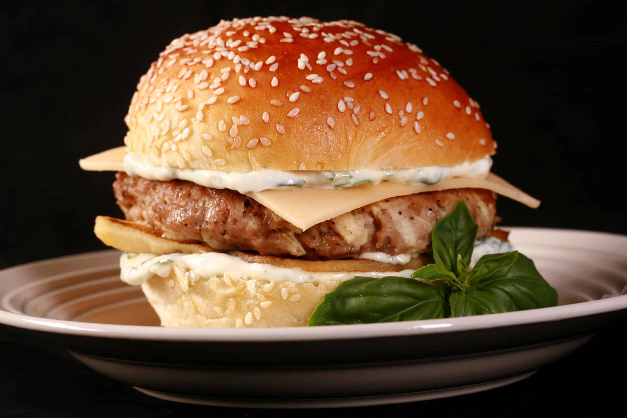 An apple chicken burger with basil mayo and gouda cheese.