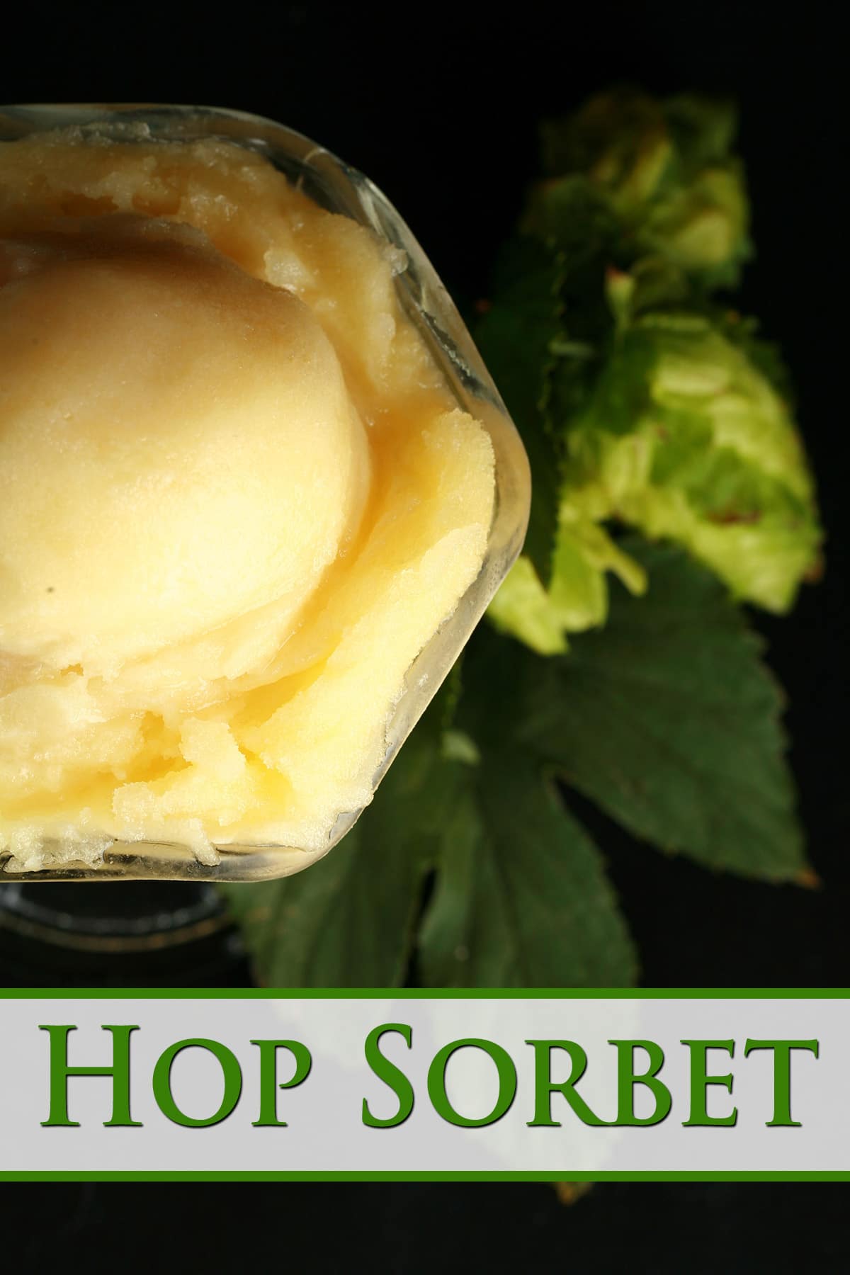 A fluted glass dessert cup of pale yellow hop sorbet, on a black background. There is a large hop lead and 3 pale green hop flowers next to the sorbet.