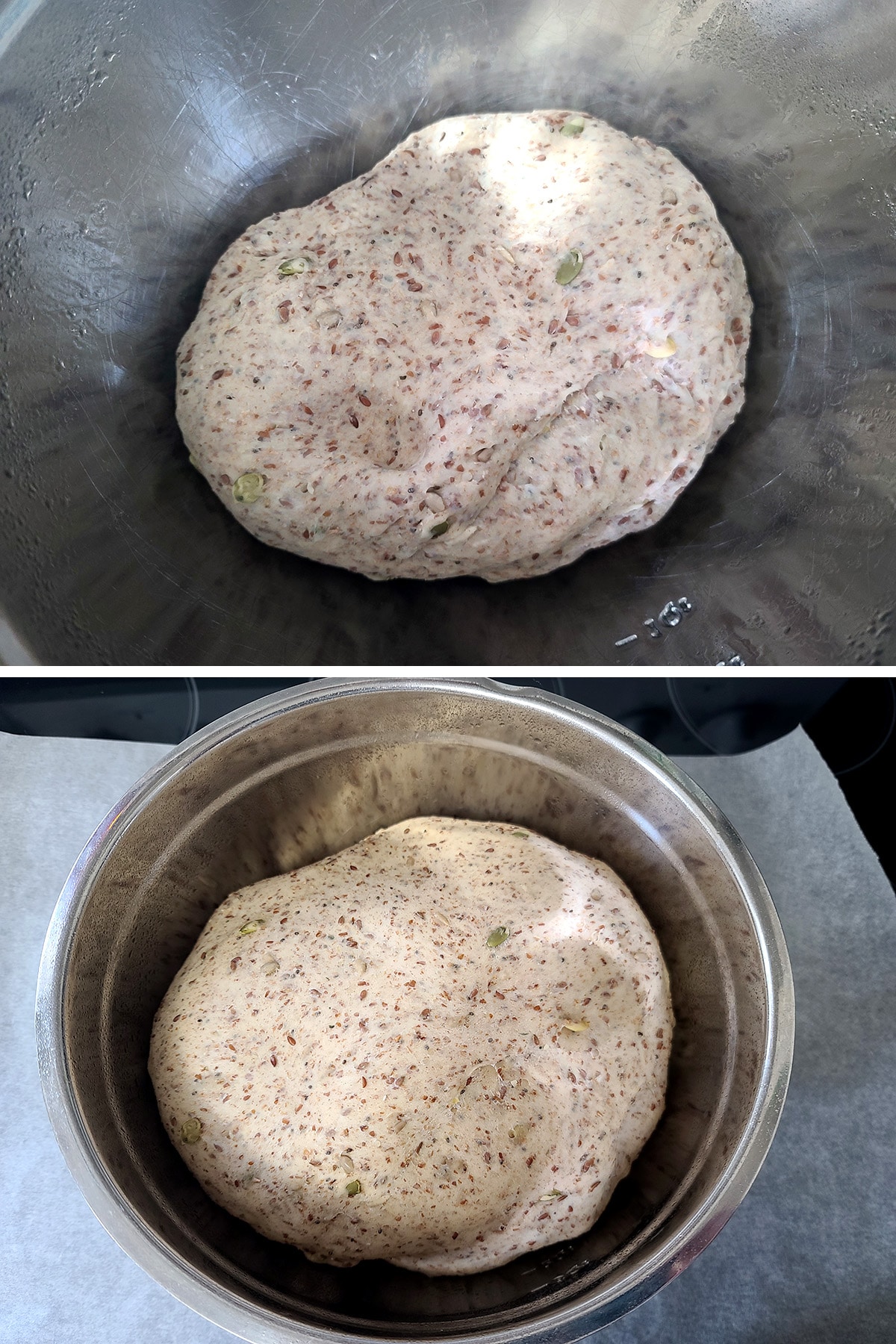 A two part image showing the seeded whole wheat bagel dough in a metal mixing bowl, before and after rising. The dough in the second photo is twice the volume of the dough in the first photo.