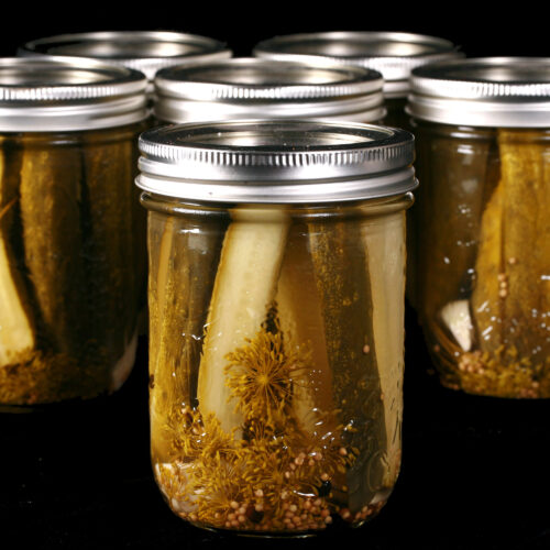 Several jars of homemade garlic dill pickles.