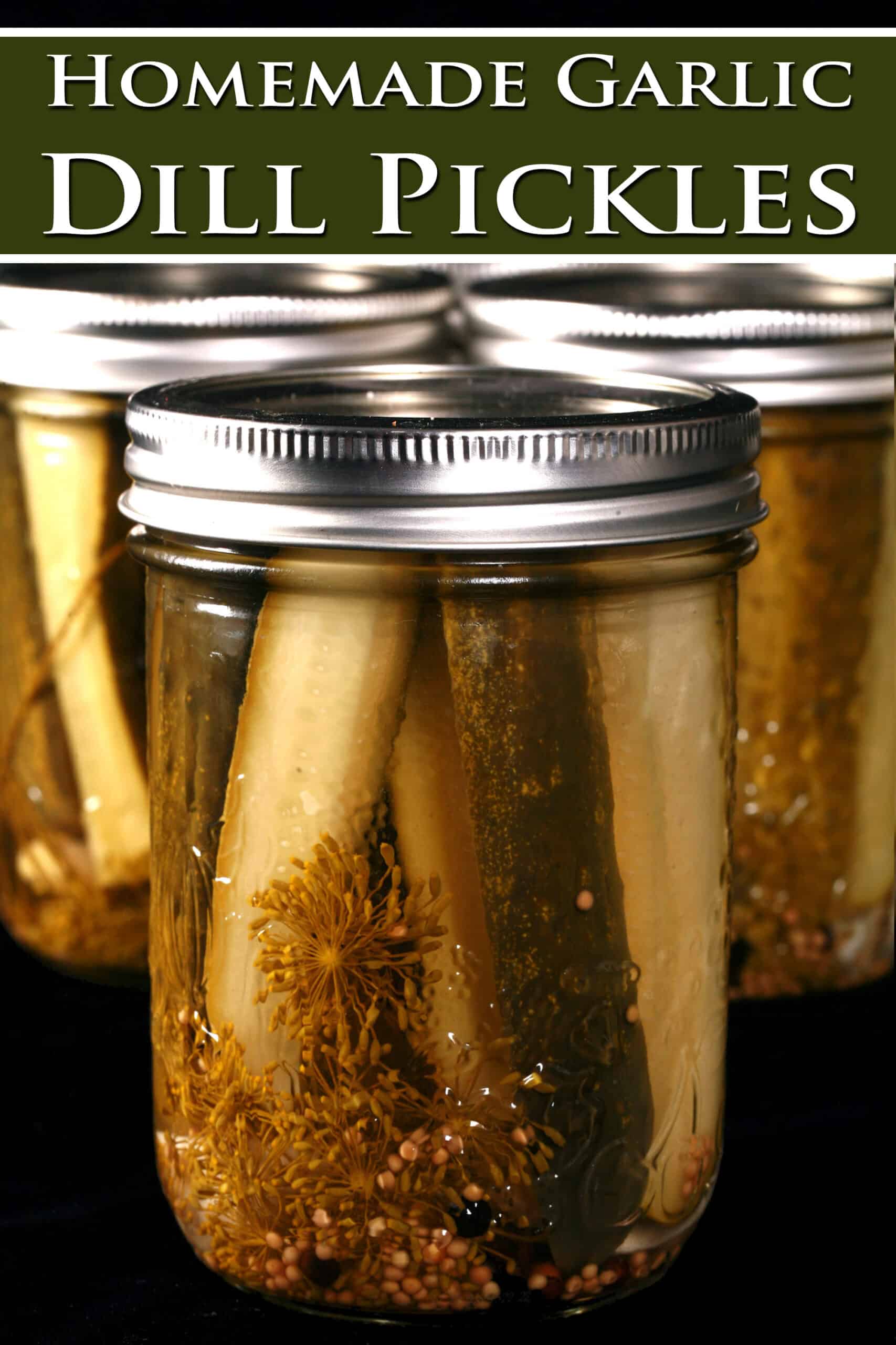 Several jars of homemade pickles. Overlaid text says homemade garlic dill pickles.