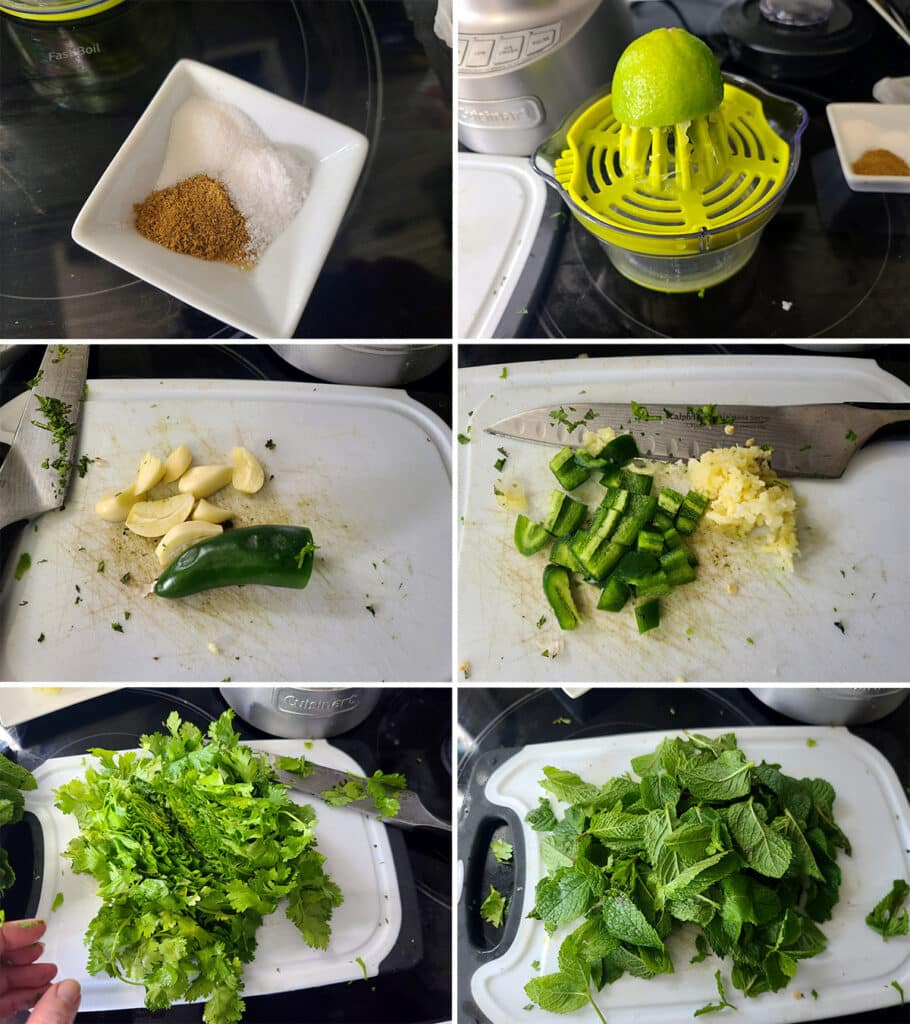 Easy Cilantro Mint Chutney Recipe Celebration Generation