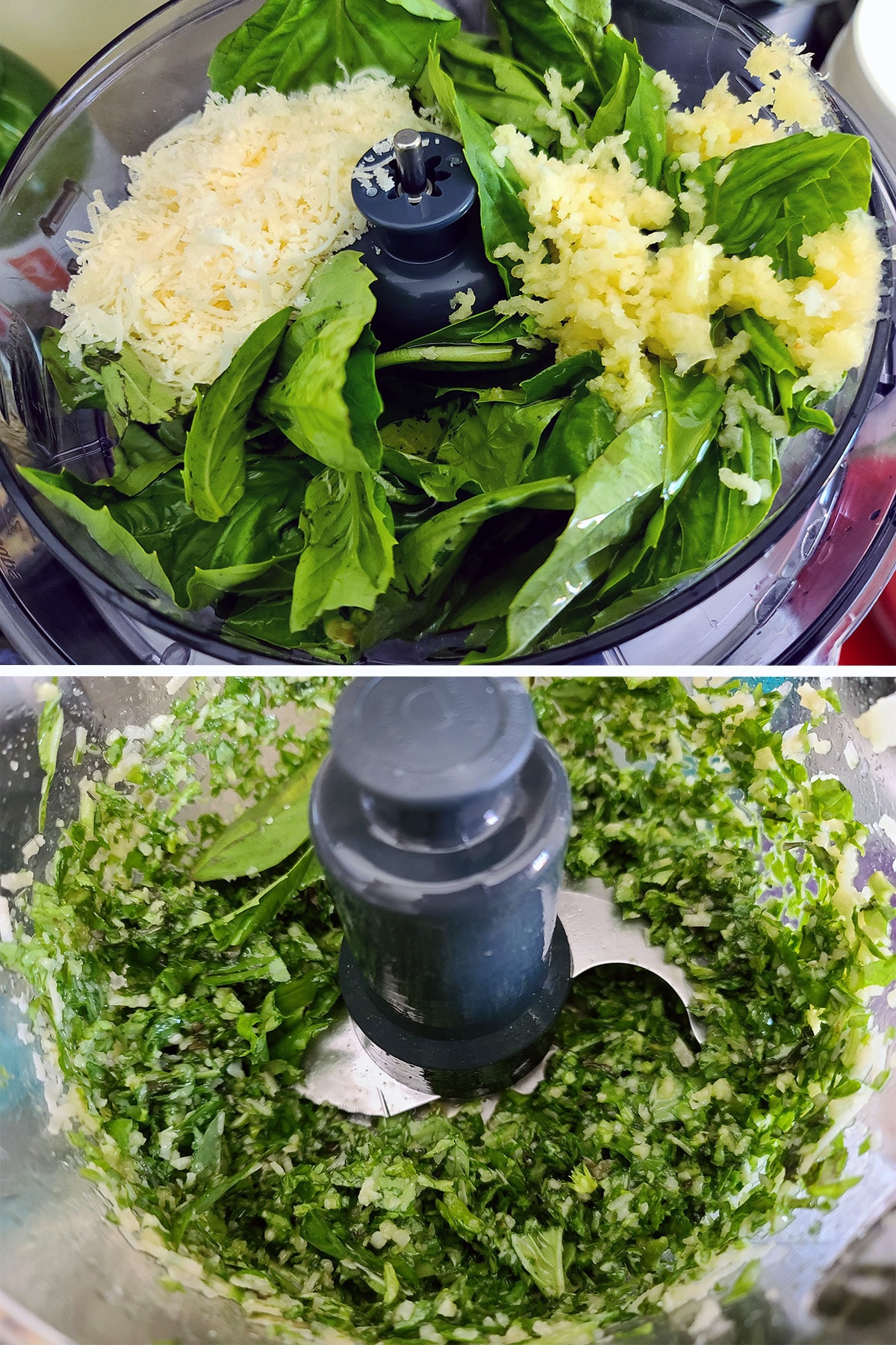 Basil, cheese, garlic, and olive oil in a food processor, before and after being chopped up.