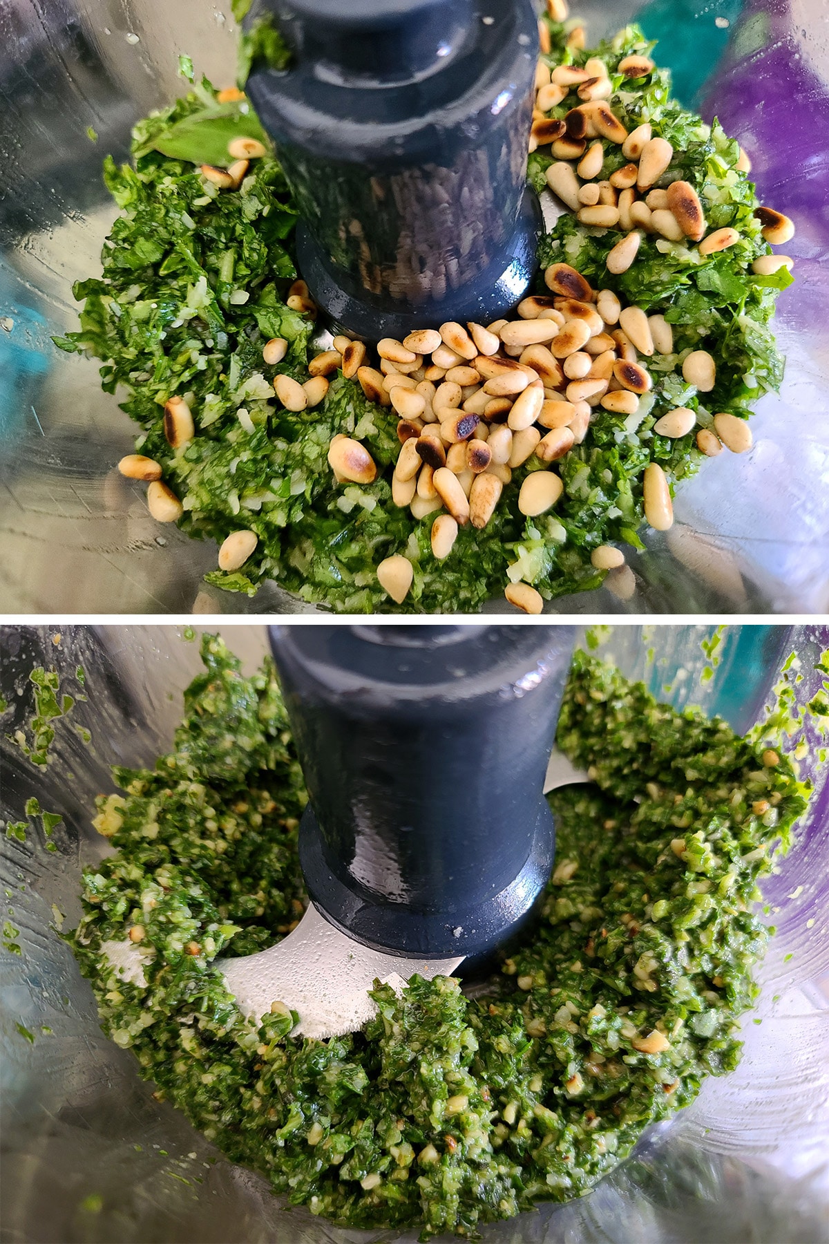 Pine nuts added to the food processor and chopped in.