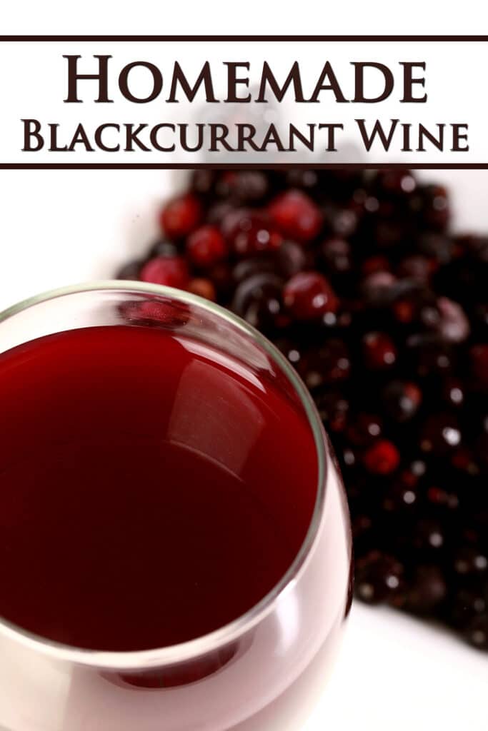 Blackcurrant Wine Recipe Celebration Generation