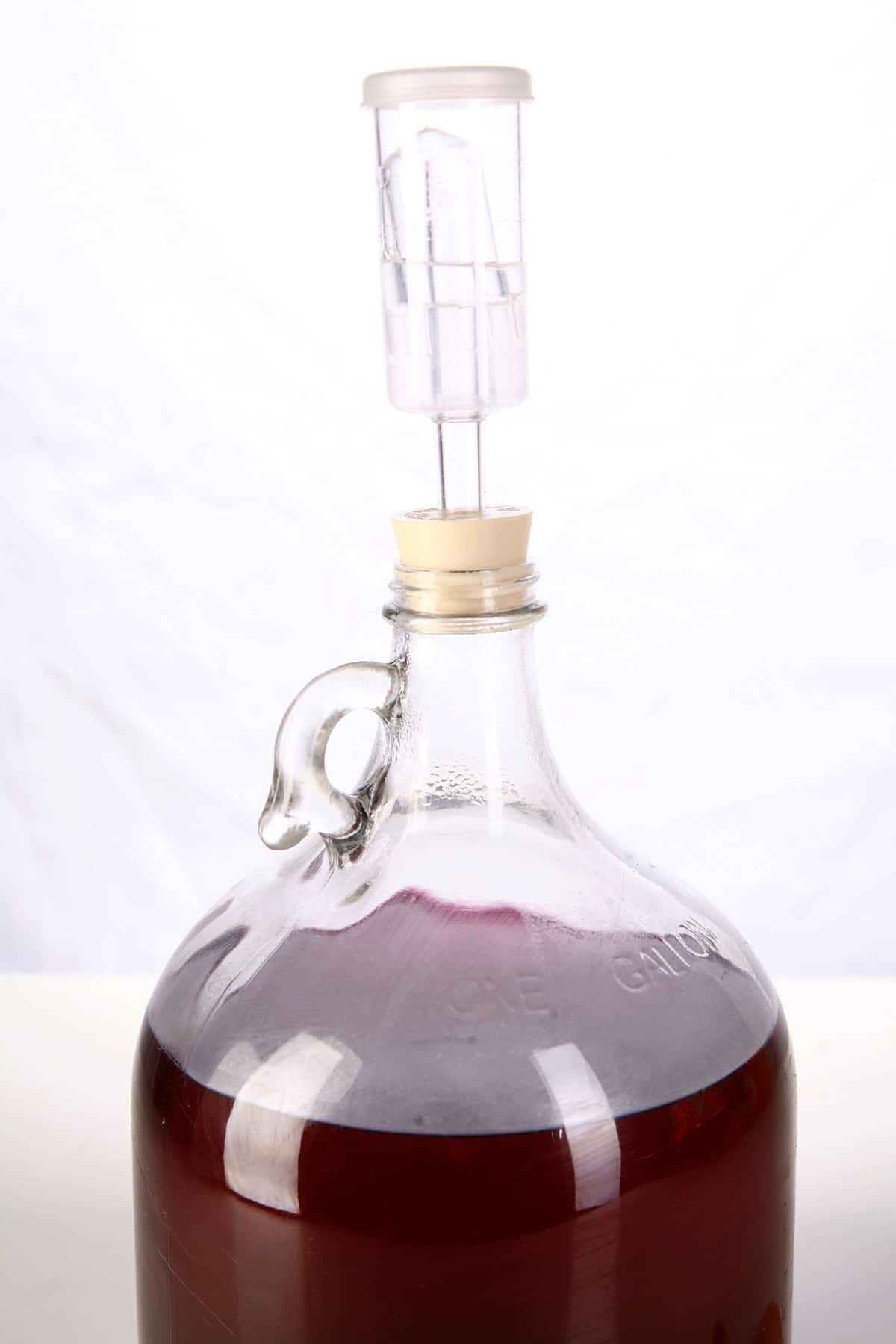 A glass carboy of homemade ube wine.