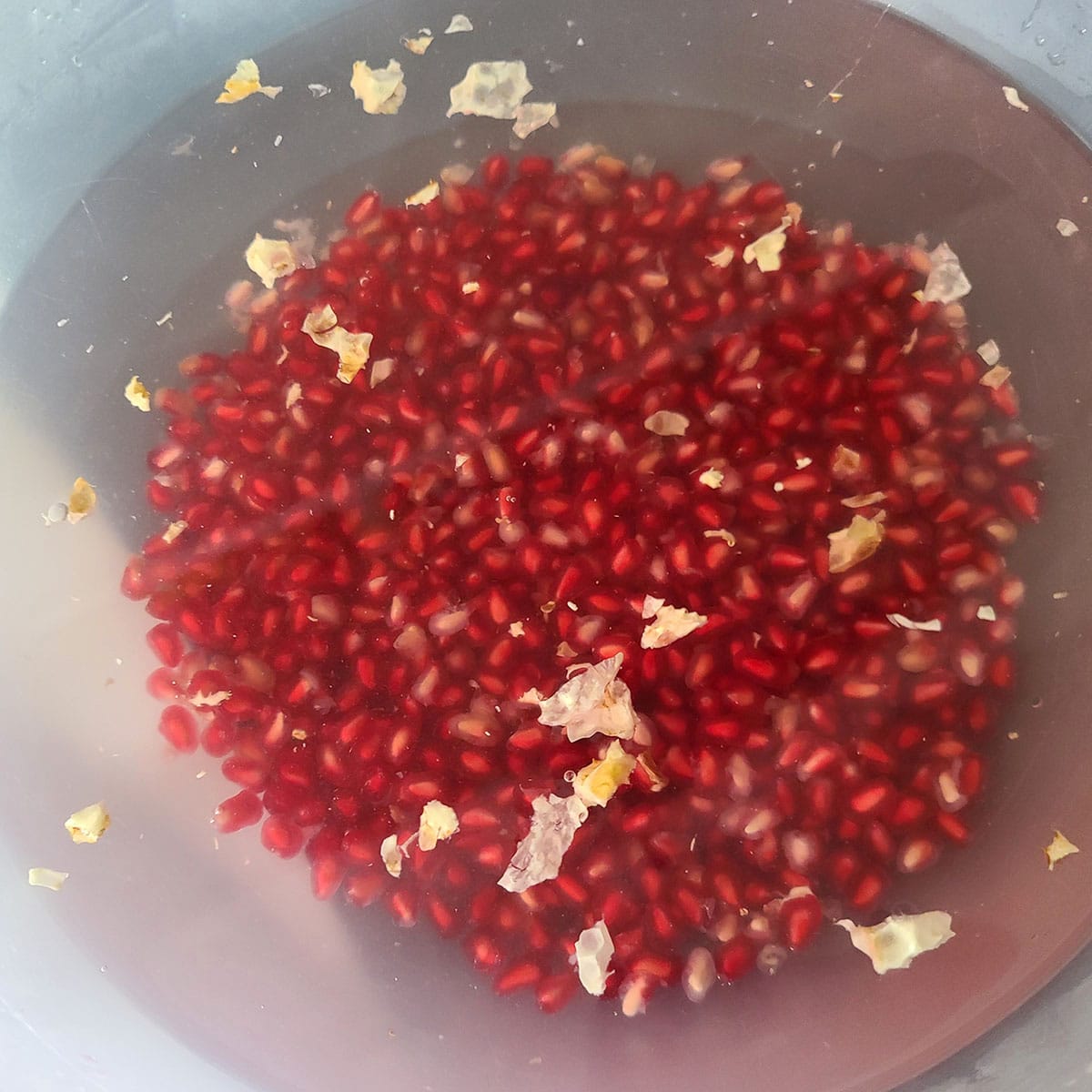 Pomegranate arils in water, with pieces of membrane floating.