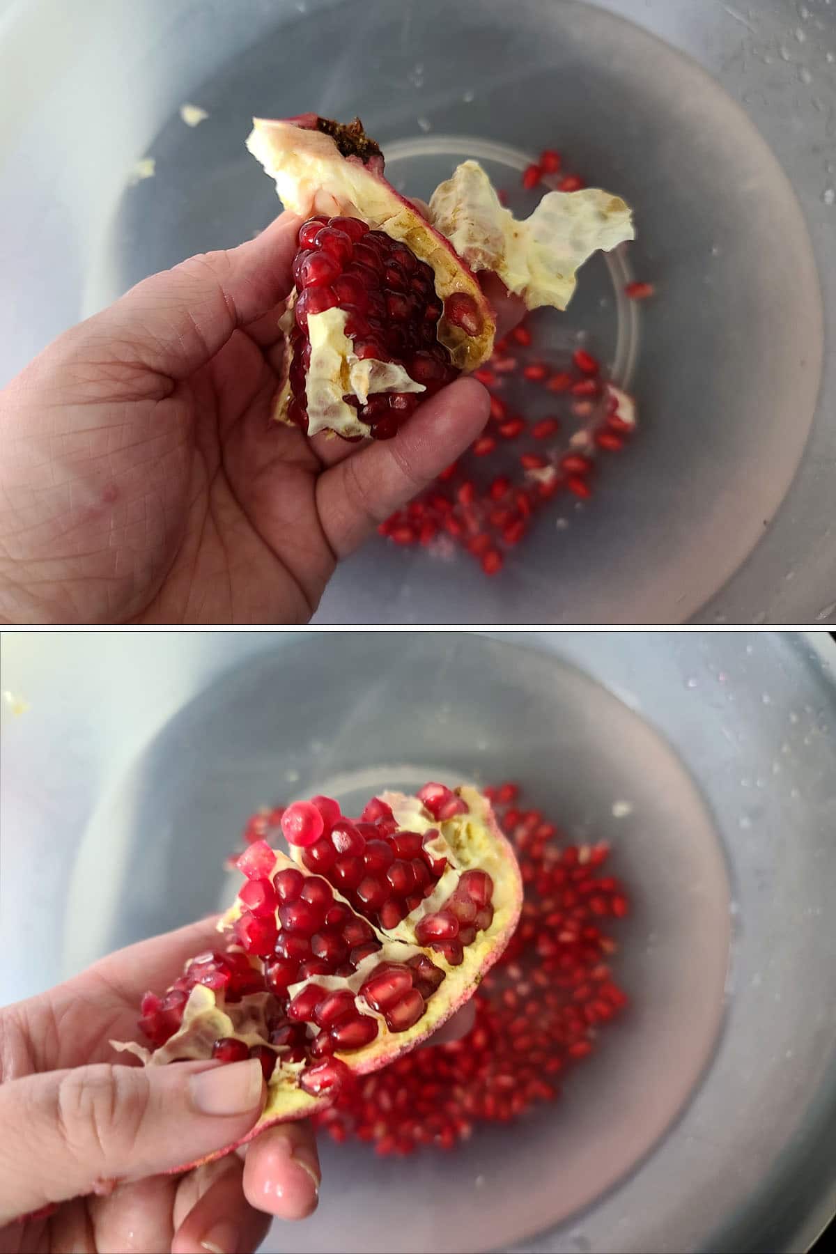 A hand holds a chunk of pomegrante over a bowl of water, the thumb is dislodging the arils.