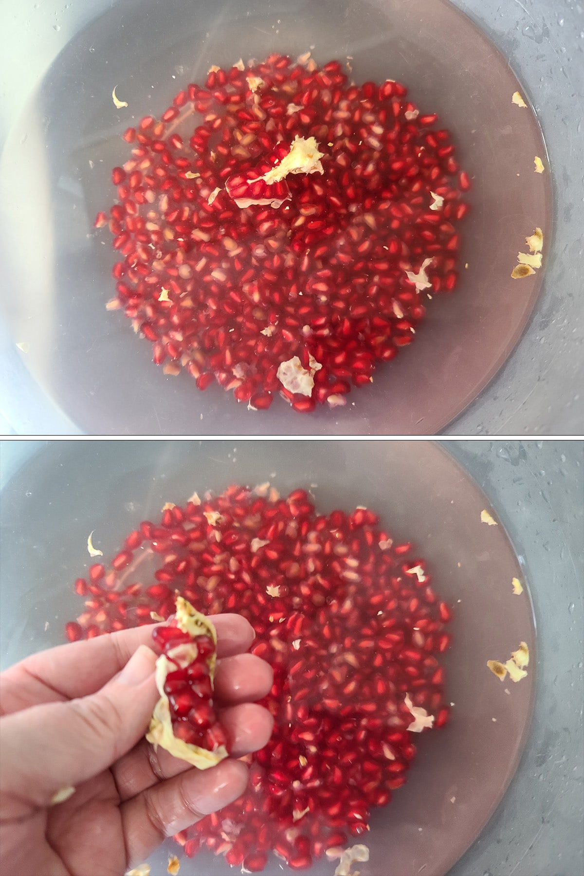Pieces of membrane are being picked off a section of pomegranate.