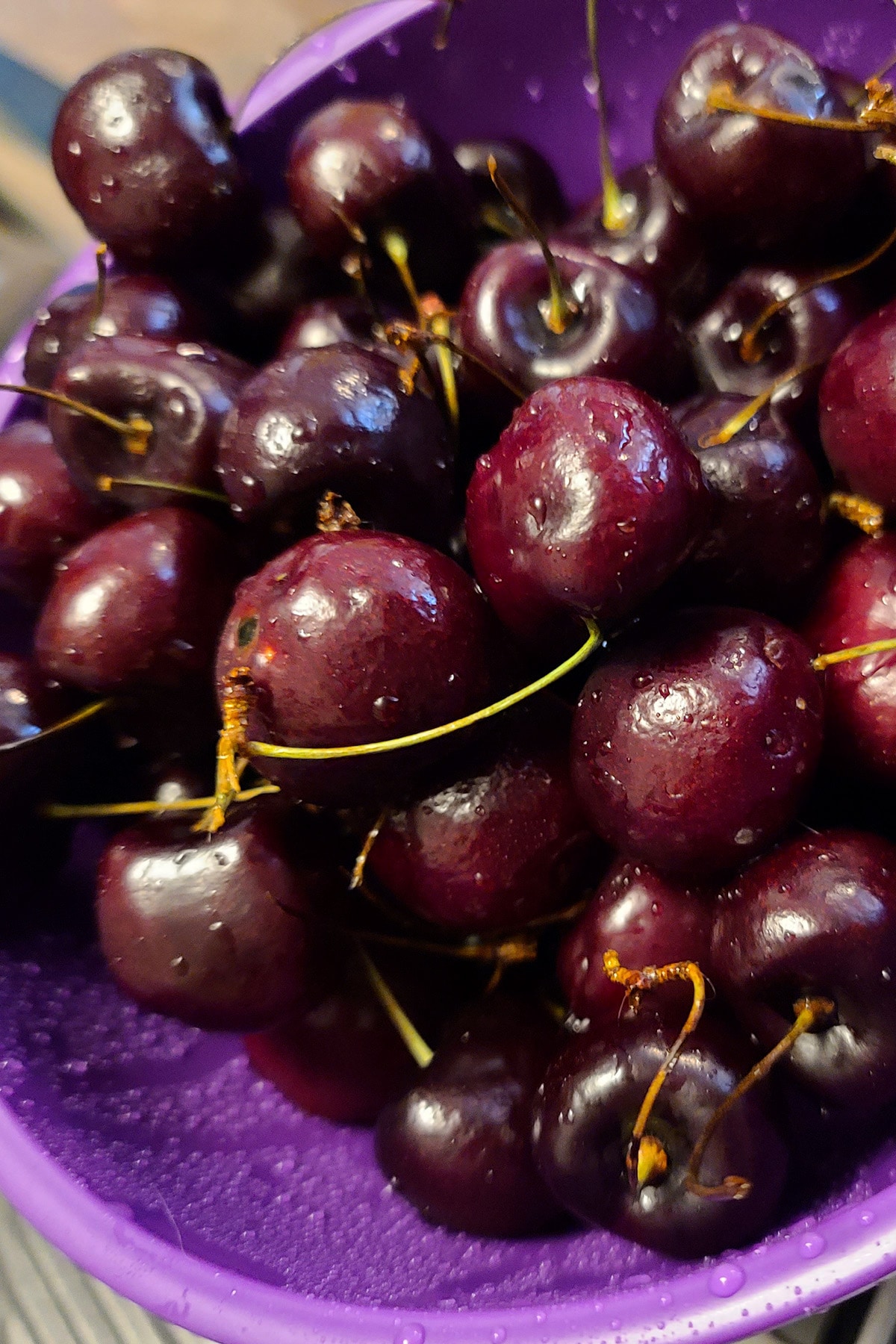 Close up photo of a bowl of black cherries.