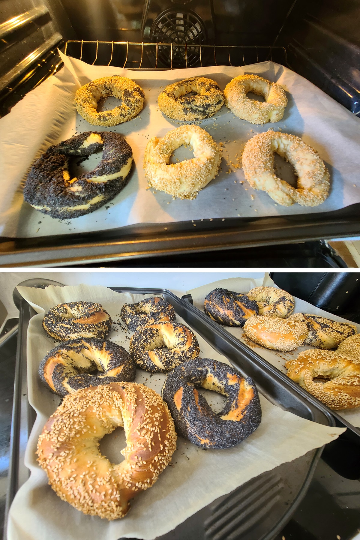 a 2 part image showing a pan of bagels going into the oven, and 2 pans of freshly baked Montreal bagels.