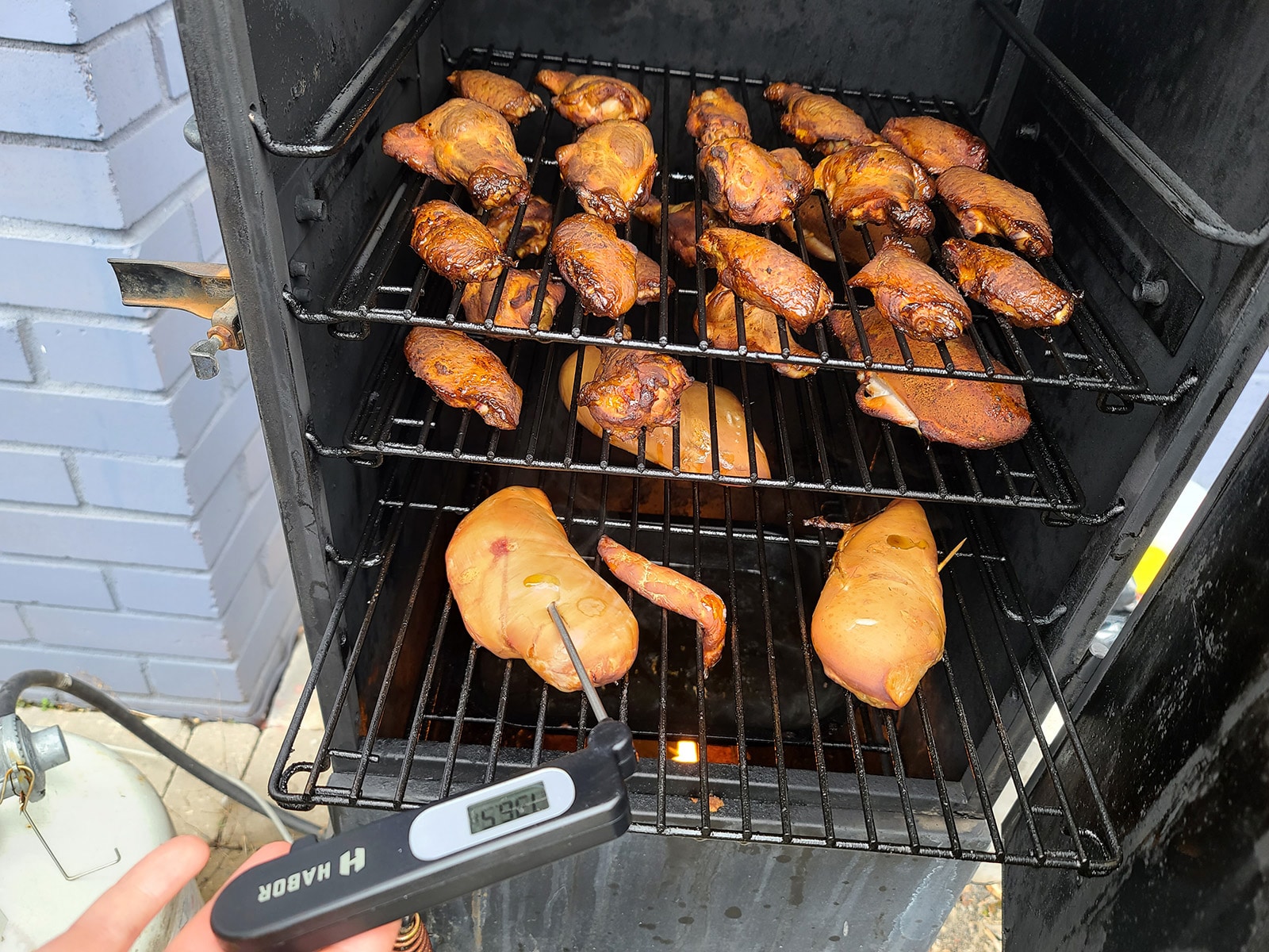 Chicken breasts and wings in a smoker.