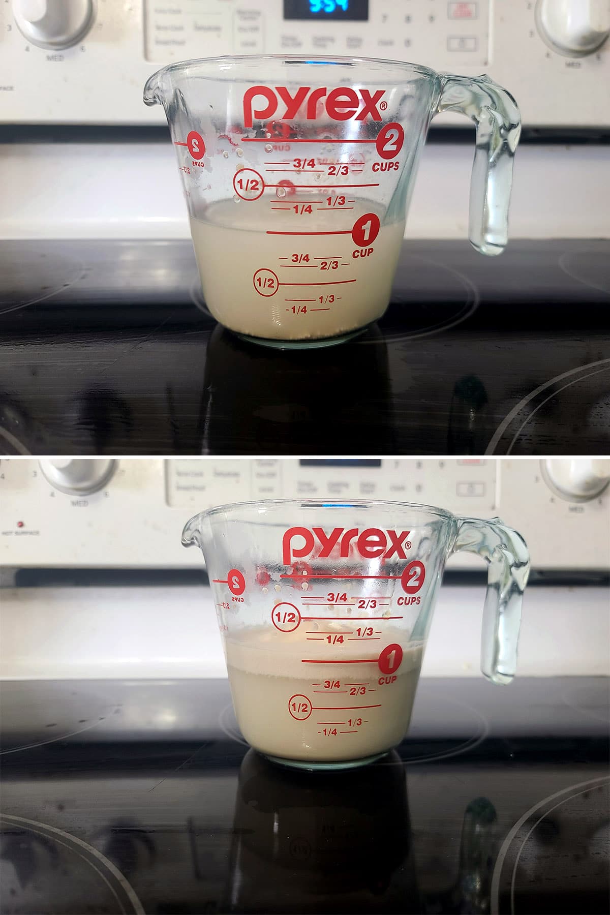 A 2 part image showing the yeast growing in a glass measuring cup of water.