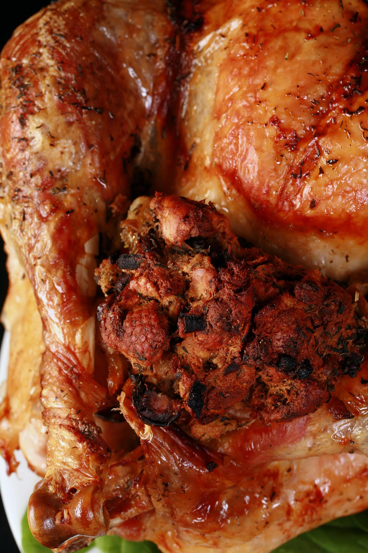 A close up view of a roasted stuffed turkey