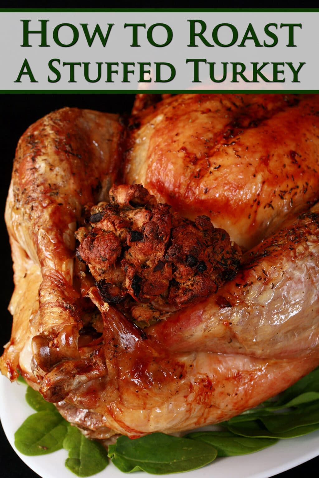 How To Roast A Stuffed Turkey Celebration Generation