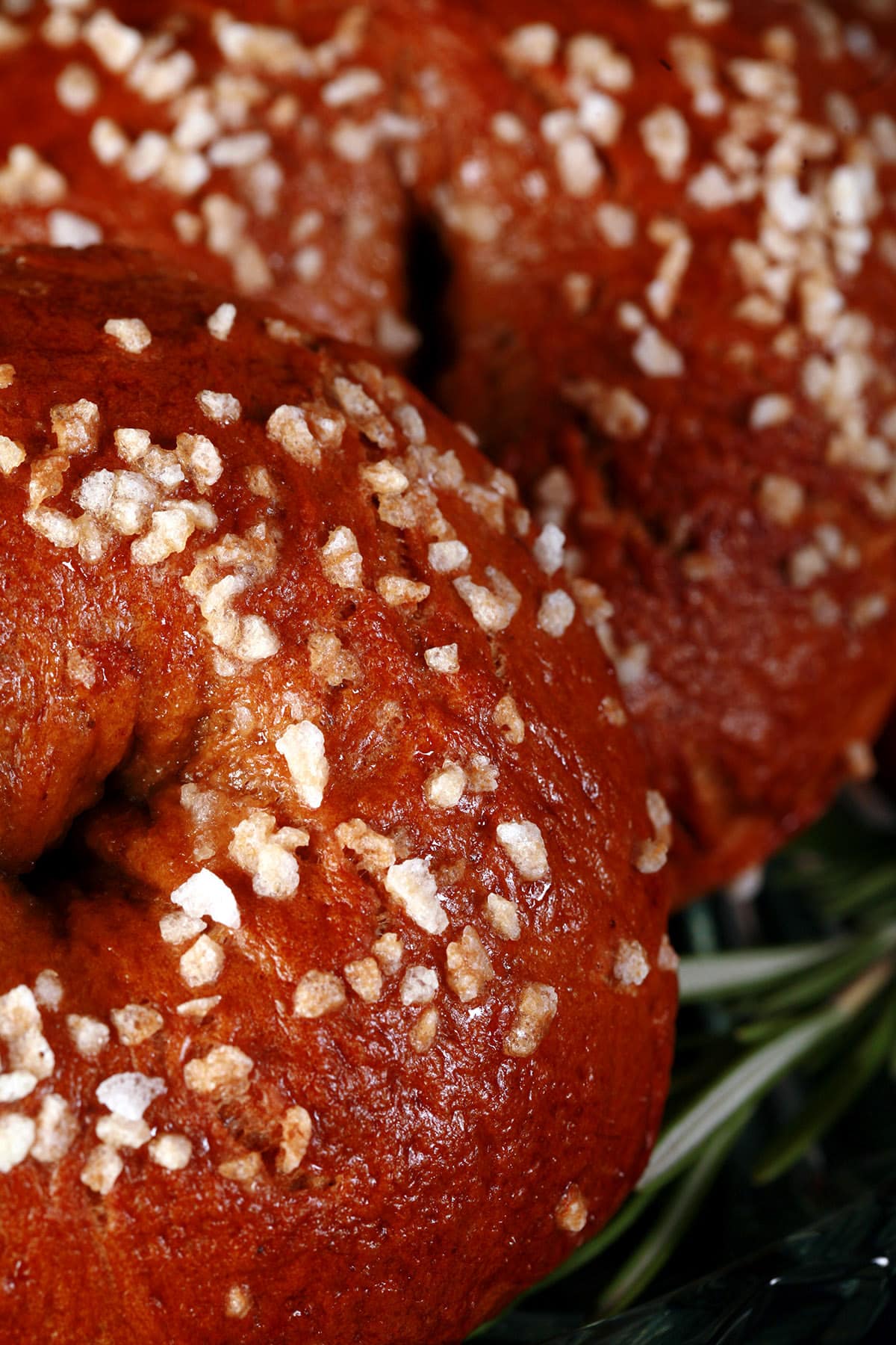 A plate of sugar crusted homemade gingerbread bagels.