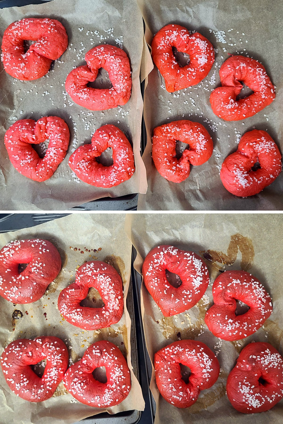 A 2 part image, showing the two pans of bagels before and after baking.