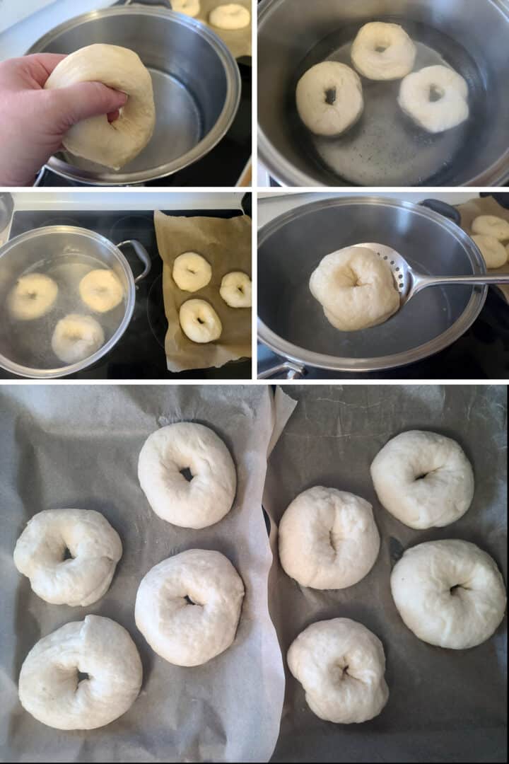 Roasted Garlic Asiago Bagels Recipe Celebration Generation