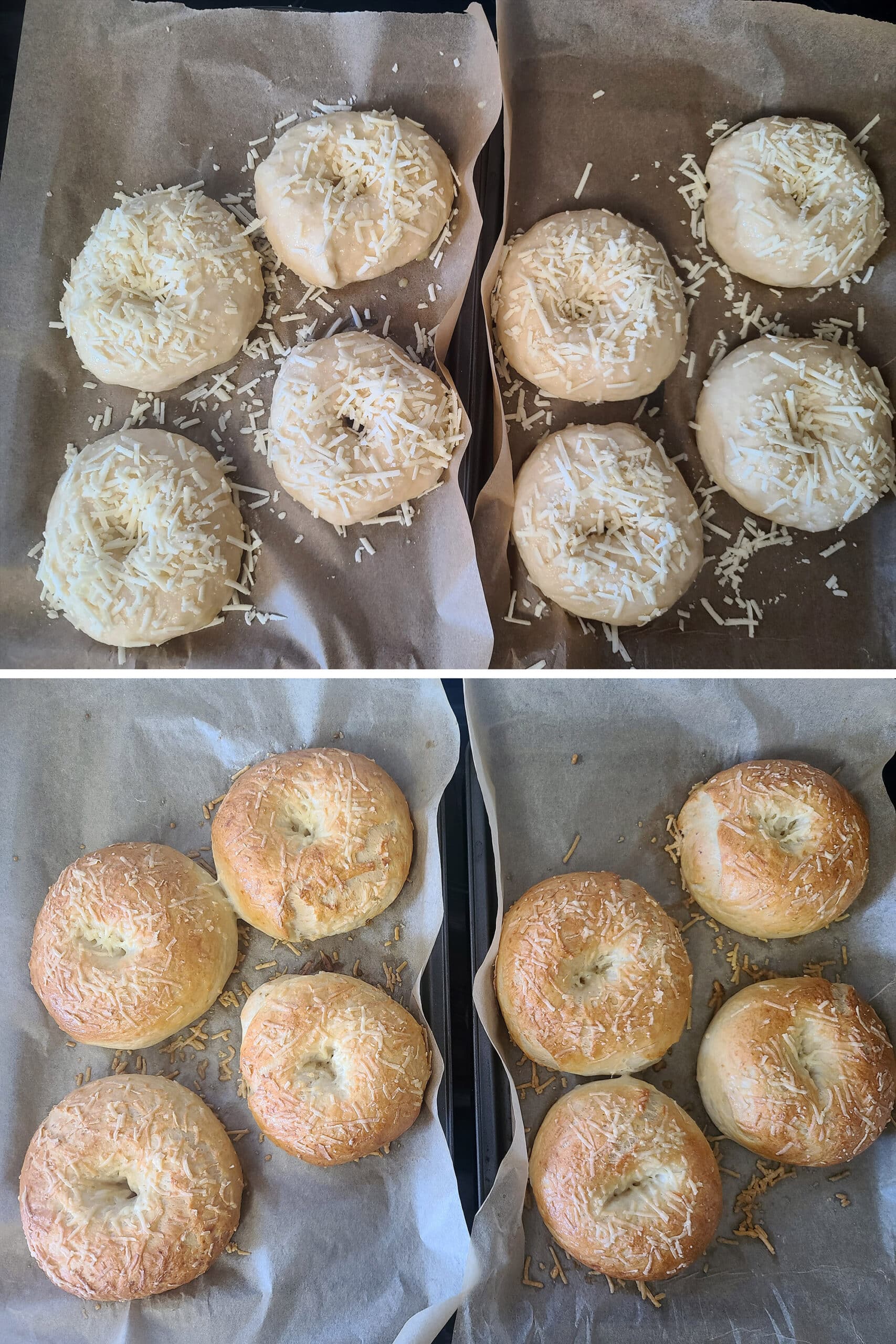 A 2 part image showing the 8 bagels, before and after baking.