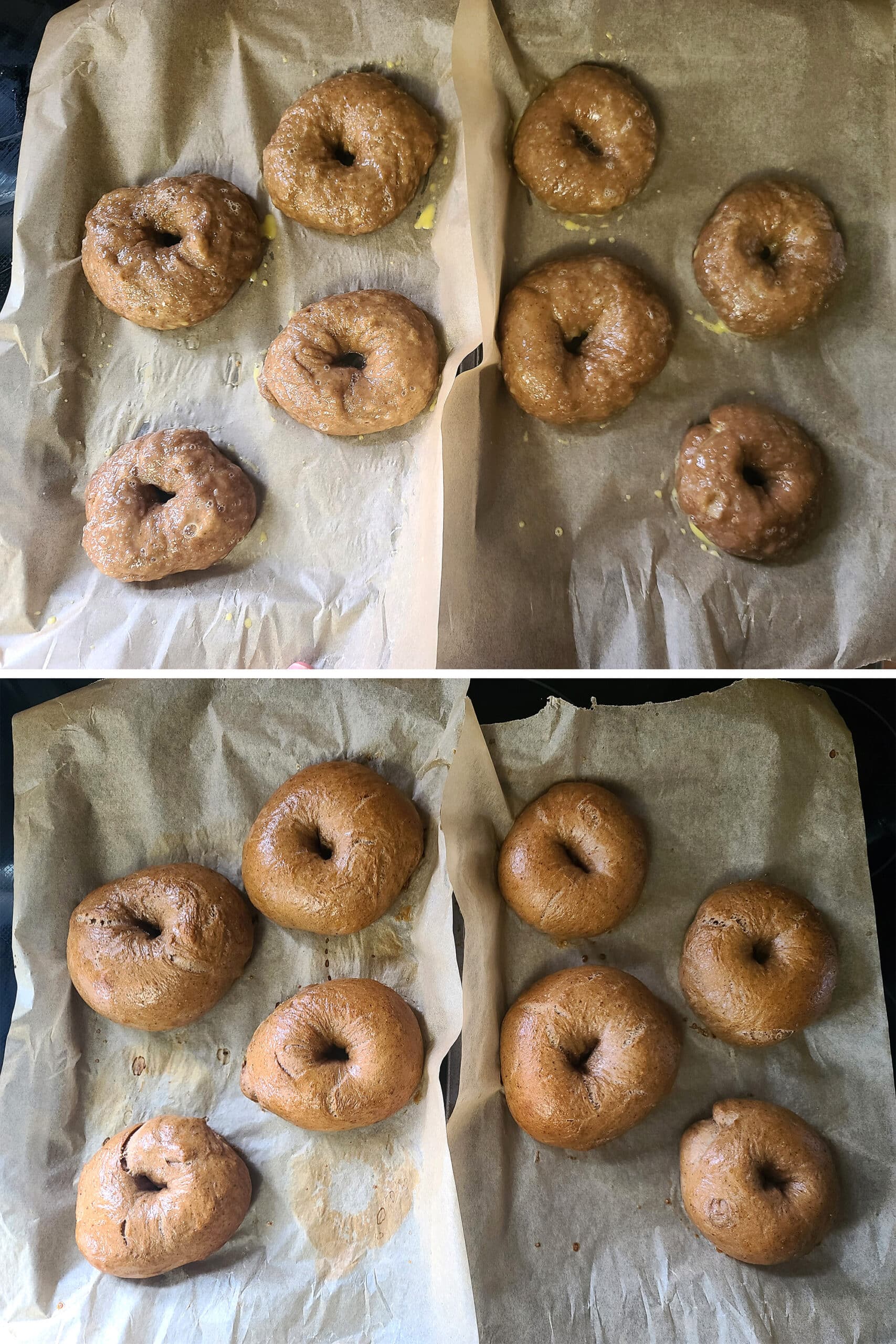2 part image showing the pans of bagels before and after baking.