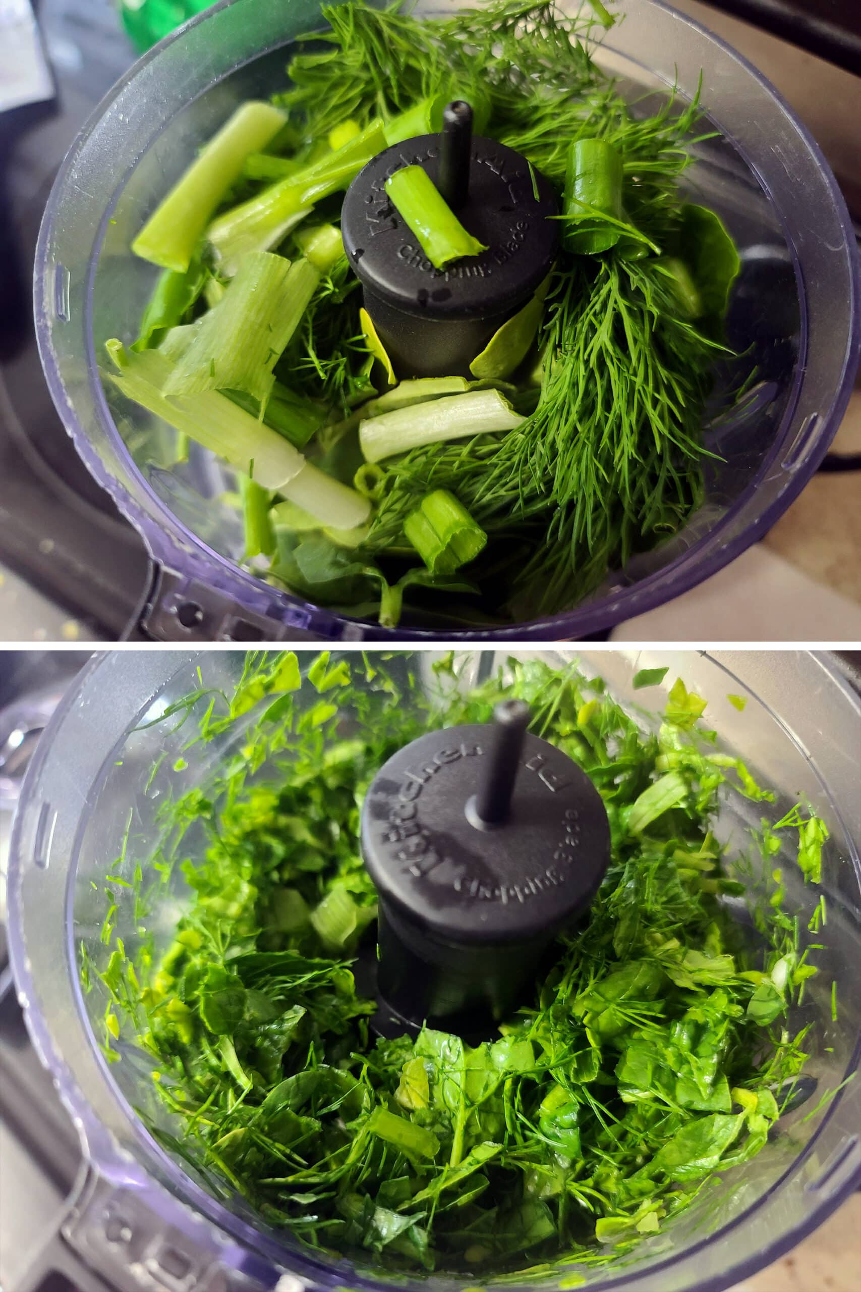 2 part image showing the spinach, dill, and green onions being blitzed in a mini food processor.